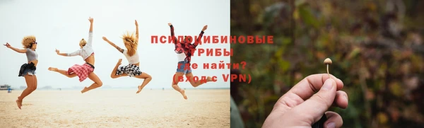 дживик Верея