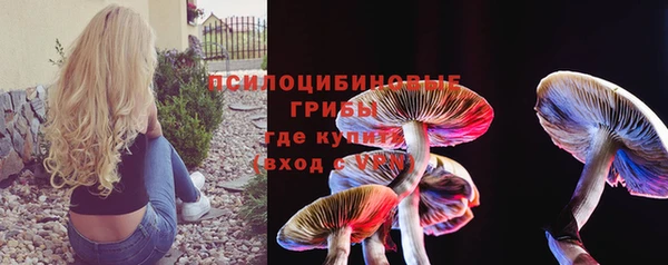 дживик Верея