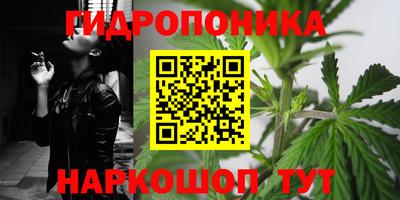 PSILOCYBIN Кинель