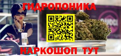 прущие крисы Кингисепп