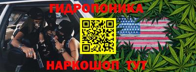 прущие крисы Кингисепп