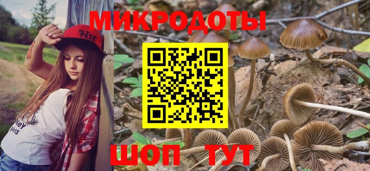 Псилоцибиновые грибы мухоморы Мценск
