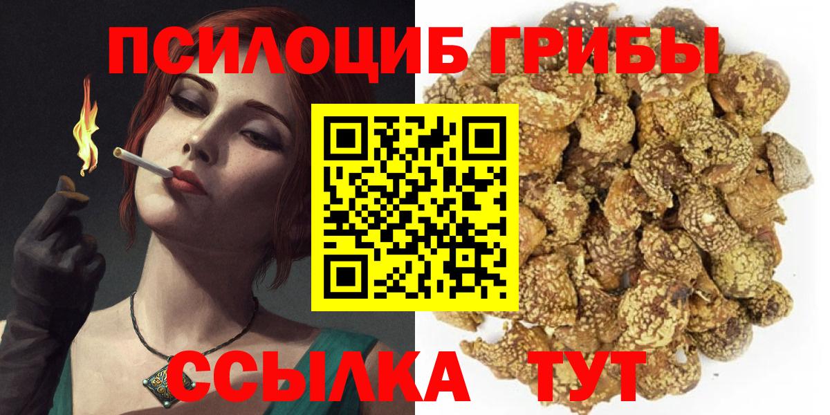 купить наркотик  Галлюциногенные грибы MAGIC MUSHROOMS  Мценск  Псилоцибиновые грибы прущие грибы 
