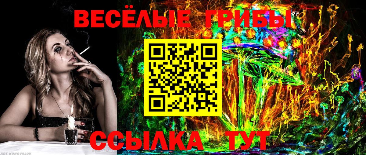 Галлюциногенные грибы Psilocybe  Галлюциногенные грибы мухоморы  Вход с VPN  что такое   Мценск 